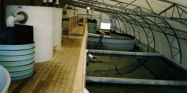 aquaculture