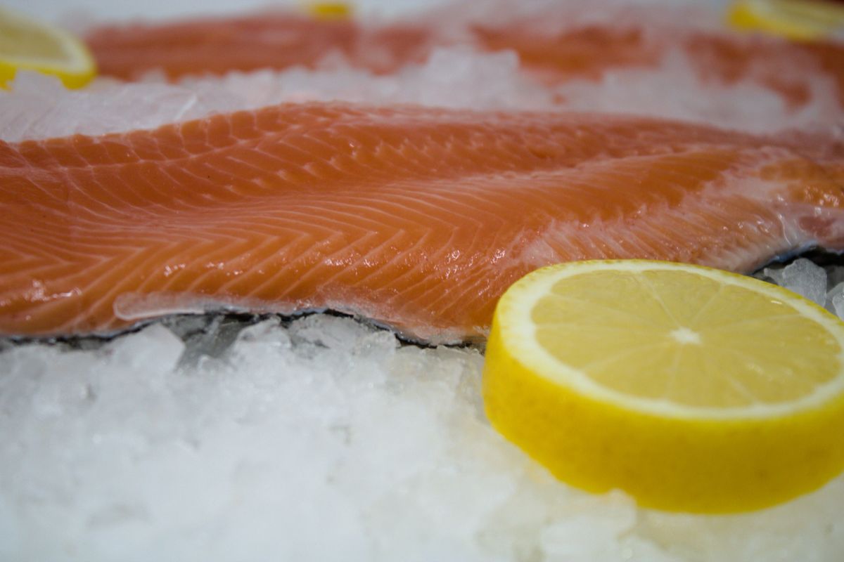 FRESH Steelhead Trout