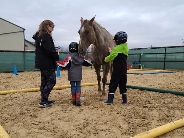 Family bonding with horse