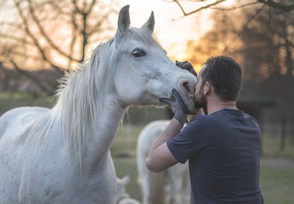 Man bonding with horse