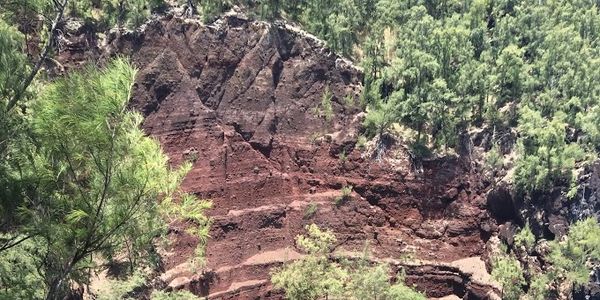 Secluded red sand beach with swimmers and rocky cliffs under green trees.