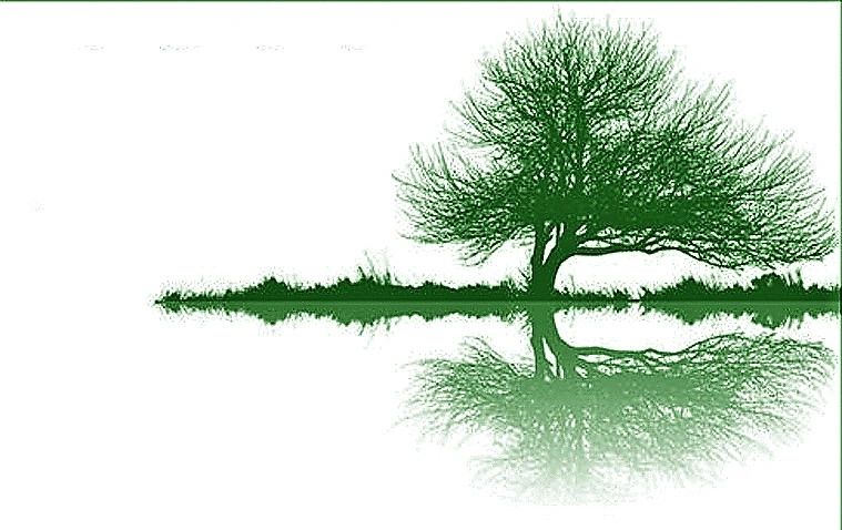 Inner Peace Hypnotherapy Inc. logo