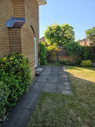 Sunny backyard with brick house, paved path, and green bushes.