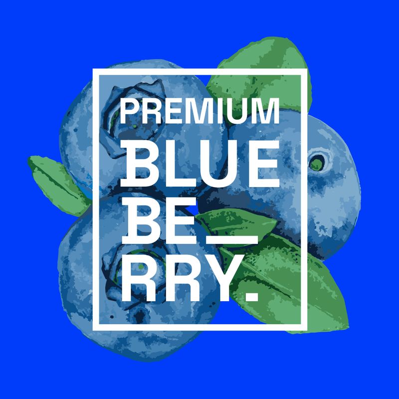 Premium Blueberry's Logo