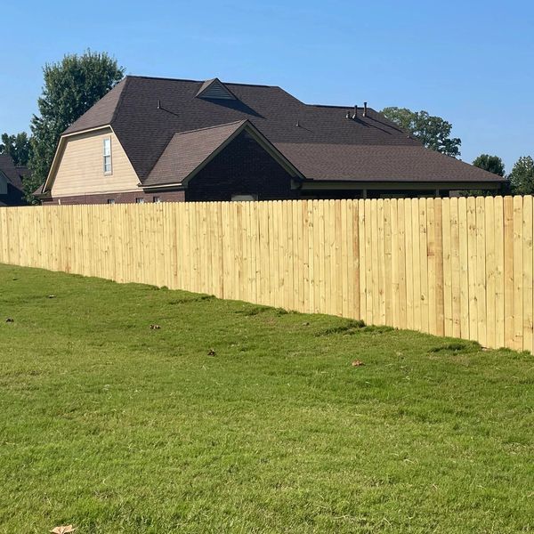 pine privacy fence