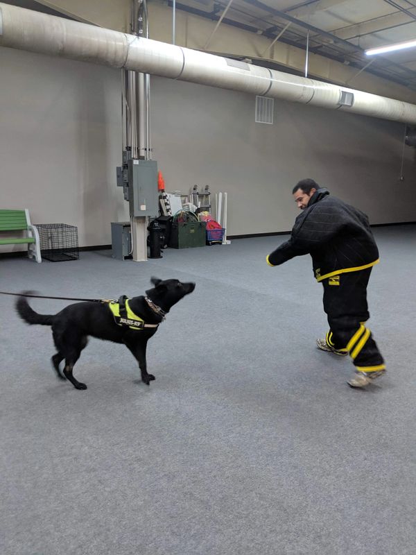 Personal Protection Training 