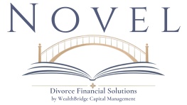 Novel divorce financial solutions