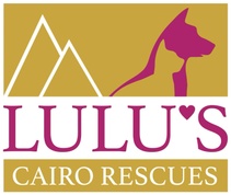 Lulu's Cairo Rescues