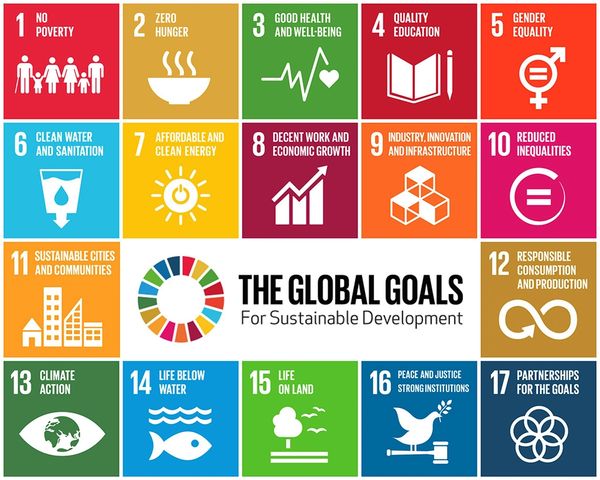 SDGs Carbon offset projects.