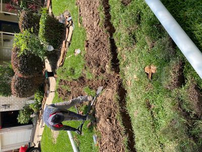 Person digging a trench in a garden with landscaping around.