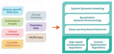 Artificial Intelligence in Healthcare Mechanistic Modeling System Biology
Real World Evidence