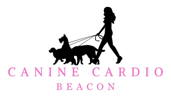 Canine Cardio Beacon