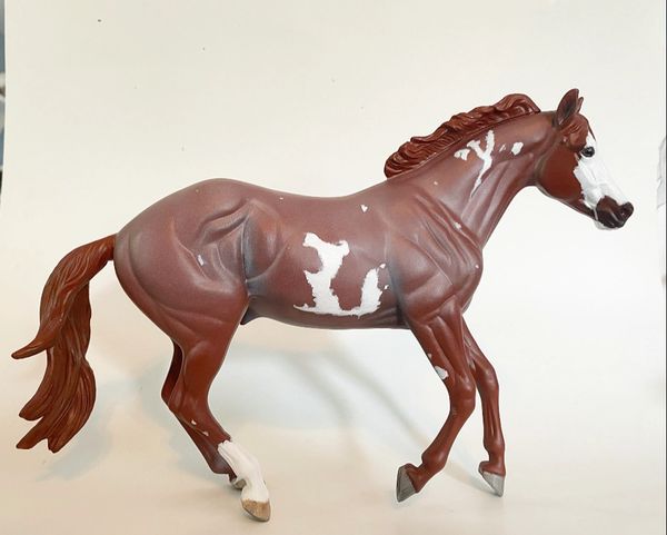 red roan paint 