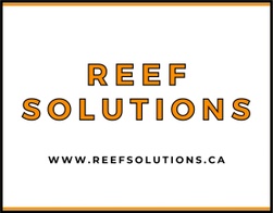 Reef Solutions