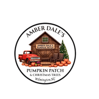 Amber Dale’s Pumpkin Patch