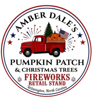 Amber Dale’s Pumpkin Patch