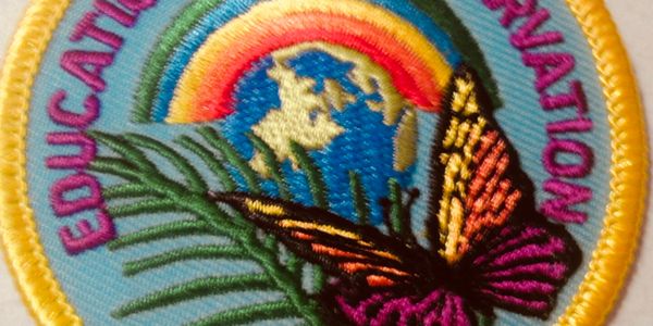 GSWCF Take Action Badge! The Girl Scout of West Central Florida created Our badge in 2012. 