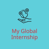  My Global Internship