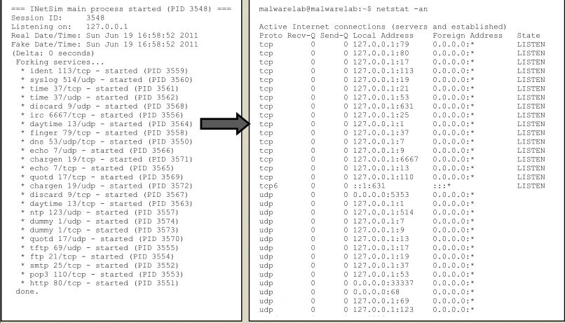 Scan Results, Scan Computer For Virus, Comodo Valkyrie Analysis