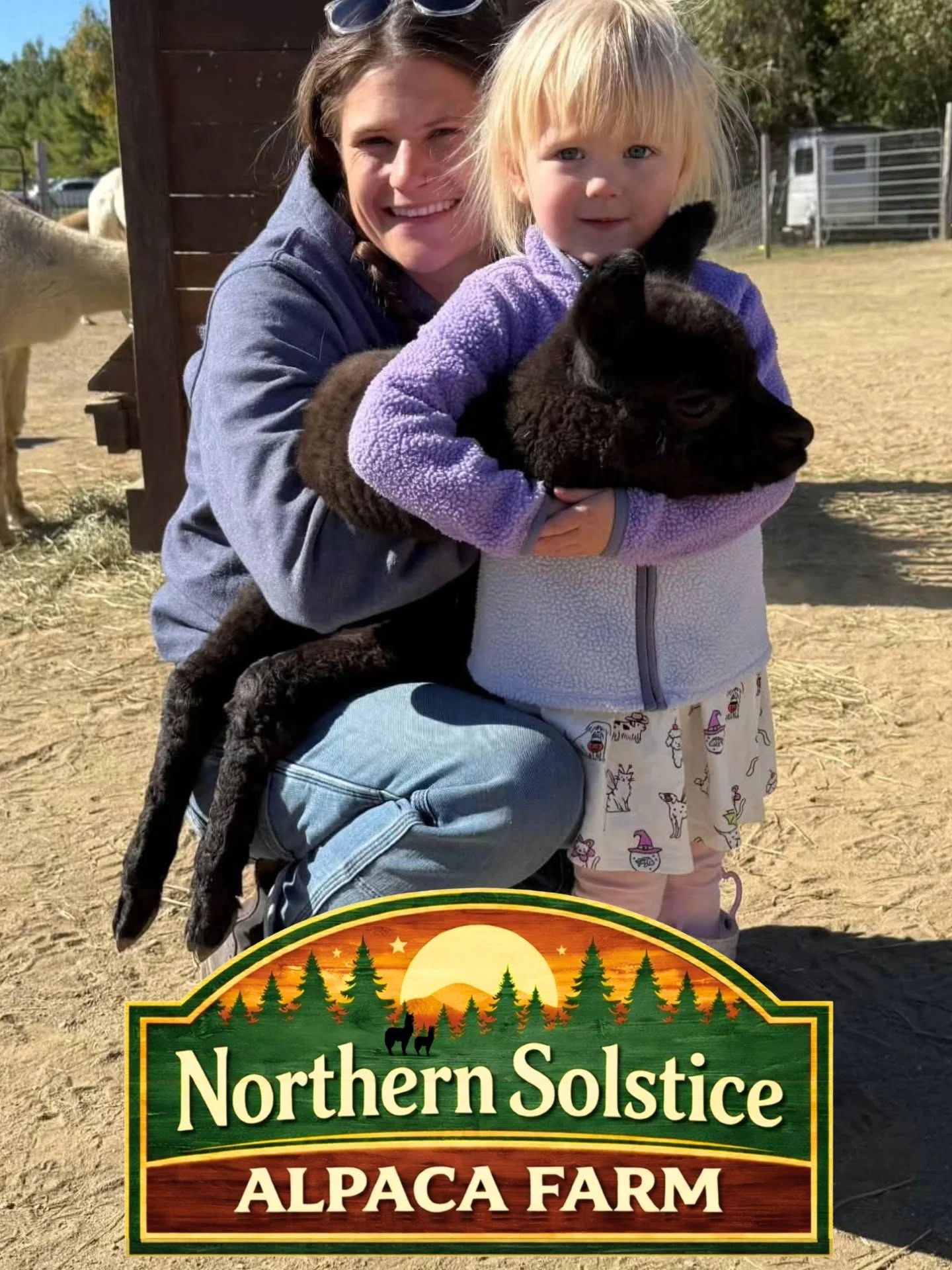 Northern Solstice Alpaca Farm in Unity