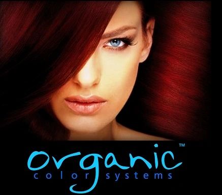 Organic Hair Colour'