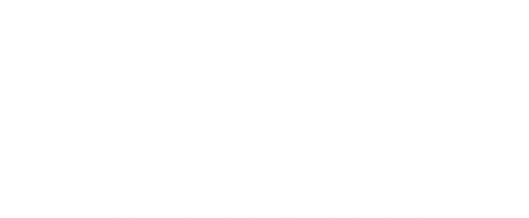 ToDem Consult Ltd