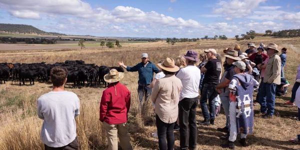 Group listening to a guide near cattle in a field.