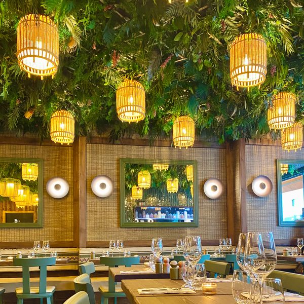 Plafond végétalisé par Vert Euskara, restaurant Barranco, Biarritz.
