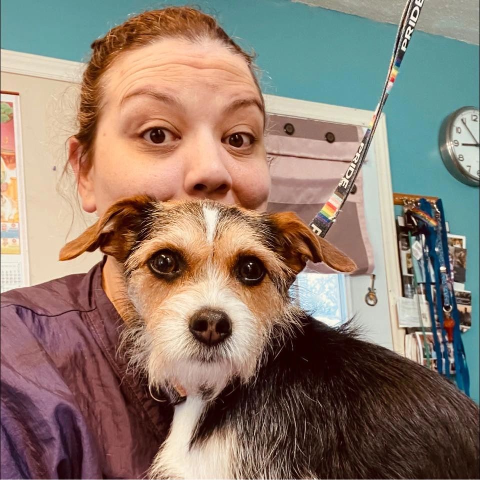 Providing for Any Pet's Needs Kat the Dog Groomer