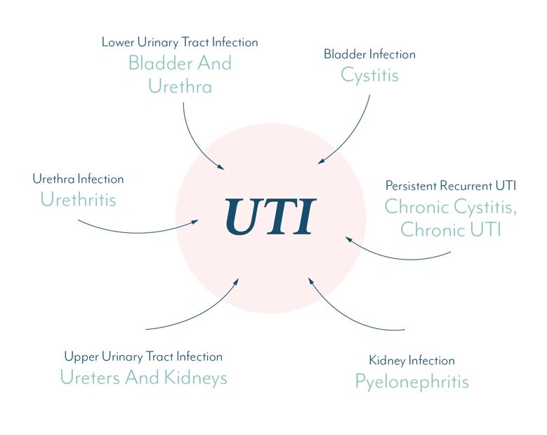 Can Mold Toxicity Cause IC & Urinary Symptoms? Yes! - Interstitial