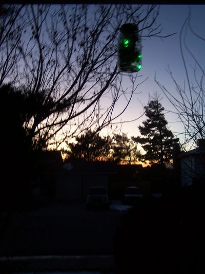 LED firefly simulations at dusk