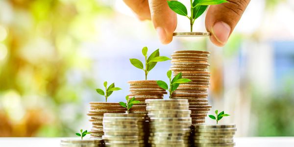 Hand placing coin with growing plant on stacks of coins symbolizing financial growth.