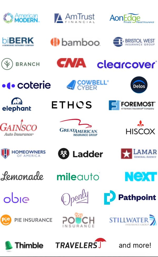 AmTrust, Bamboo, Elephant, Lemonade, Pathpoint, Assurance America, Branch, Rainbow, Cowbell Cyber