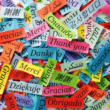 ¡Aprende idiomas con Connect Learn Together!