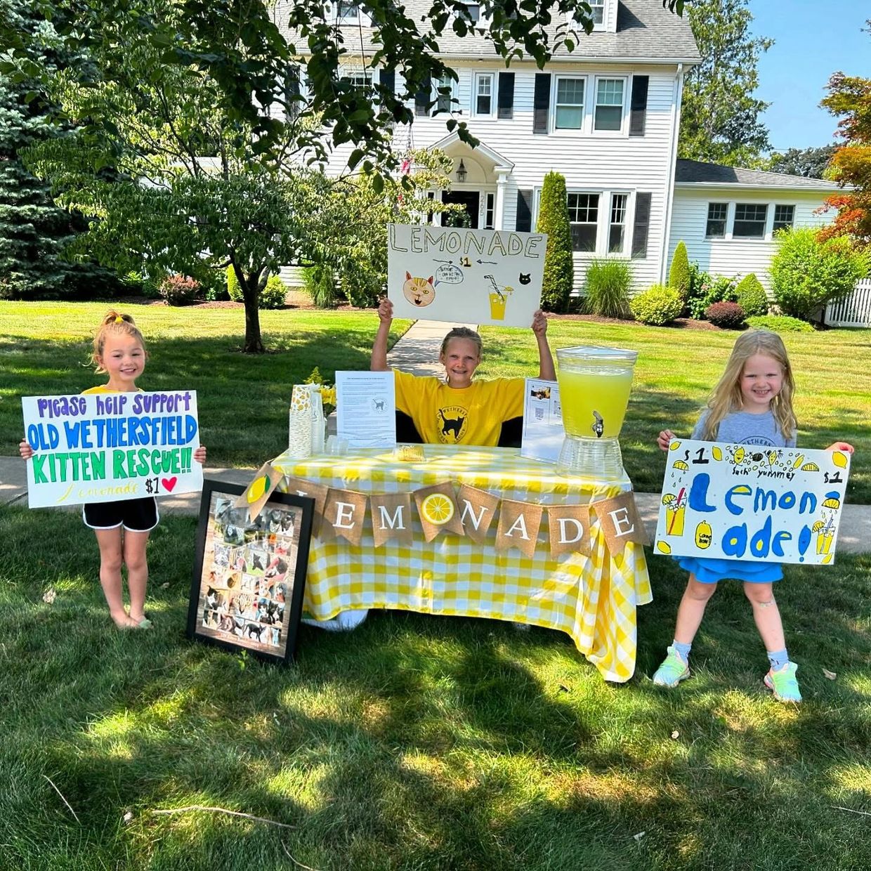 Three kids run a lemonade stand to support a kitten rescue.