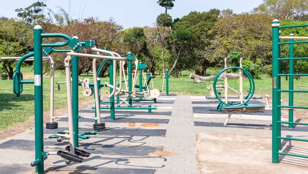 Outdoor gym setup in a park. Based on a concrete foundation and a field of grass and trees behind it.