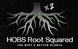 HOBS Root squared