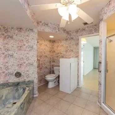 Before Bathroom Demo