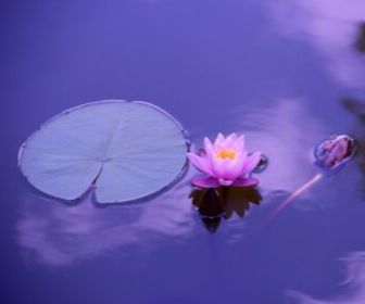 Massage for Mental and Physical Rejuvenation