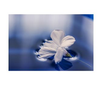Did you know? Heal Naturally with Bodywork