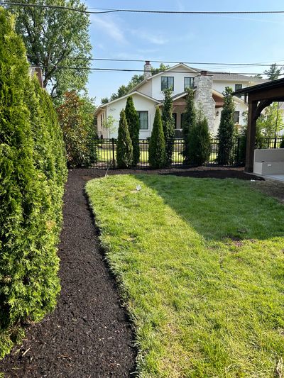 Trees and mulch bed surrounding patio