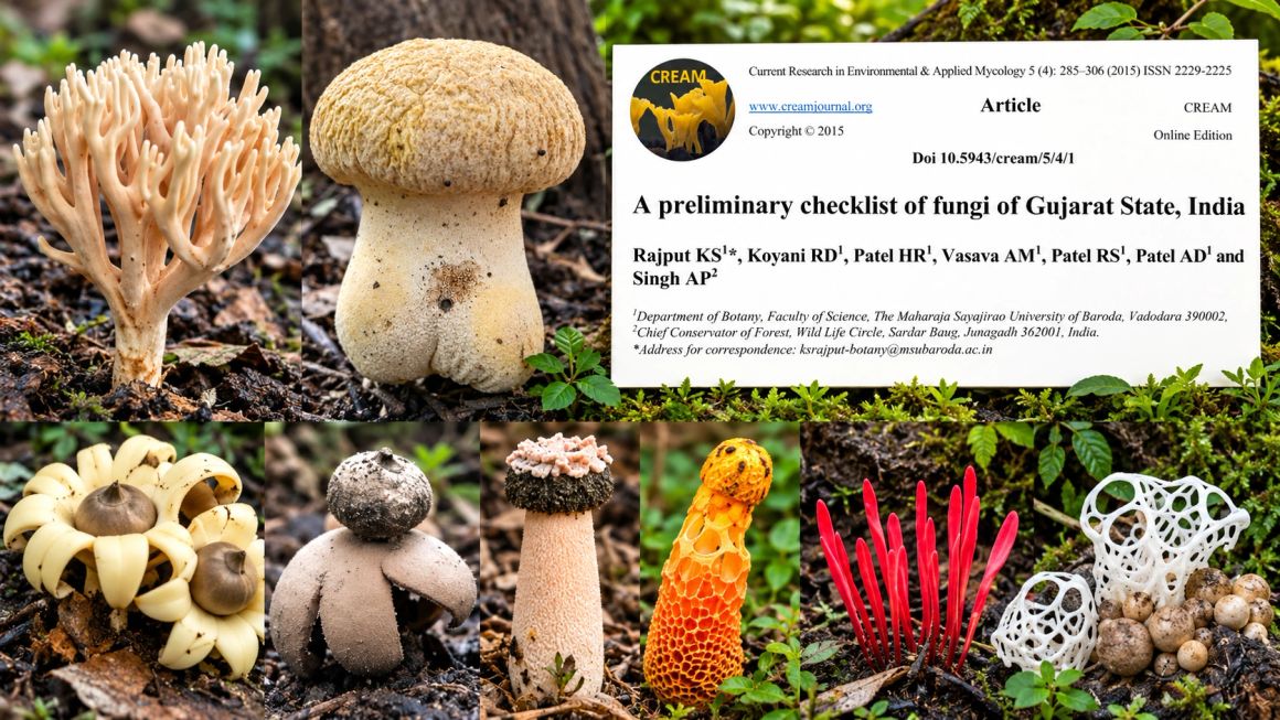 First preliminary checklist of fungi from Gujarat, featuring original fungal photographs and publication cover