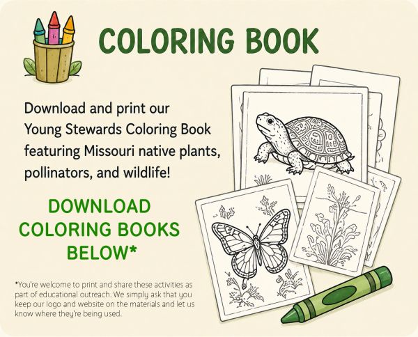 Coloring book promoting Missouri native plants and wildlife.