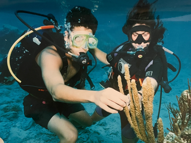 Two people scuba diving and looking at a water plant 