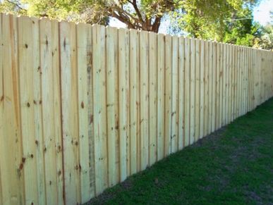 Treated wood fences