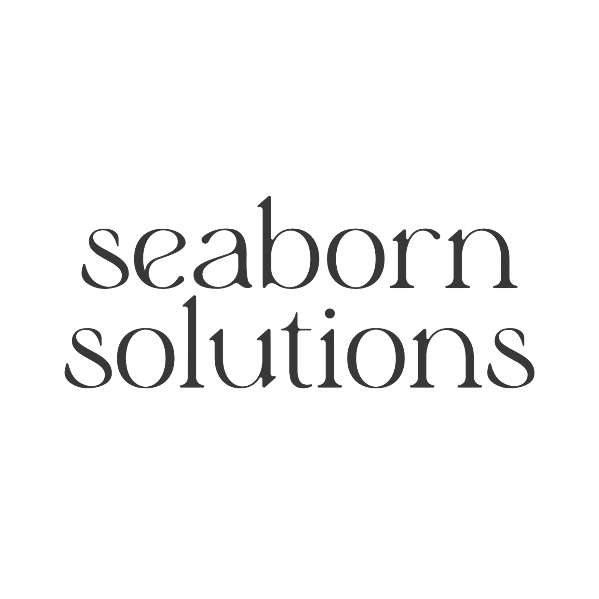Seaborn Solutions LLC