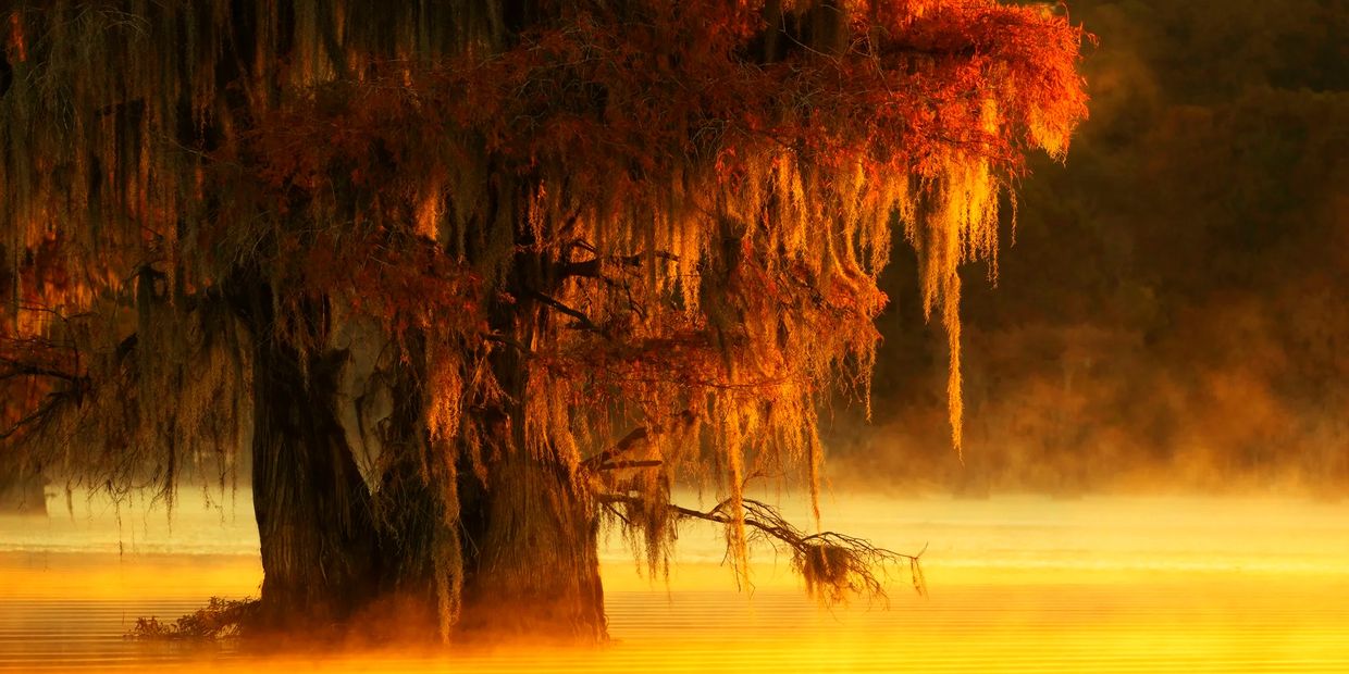 Outdoor Louisiana life and our full  guide and articles on hunting, fishing, hiking and exploring