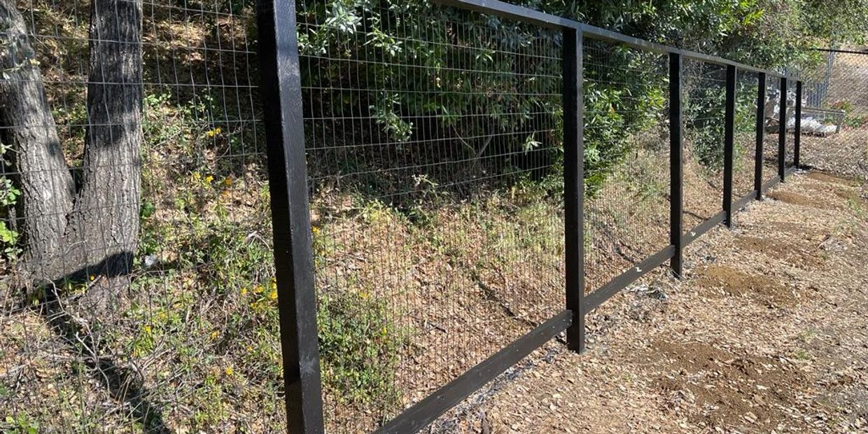 Deer fence with painted black frame