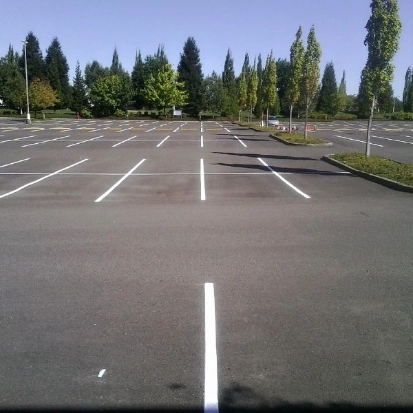 Freshly painted, empty parking lot with clearly marked white lines and surrounding trees.