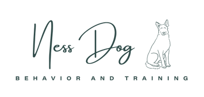 Ness Dog Behavior and Training